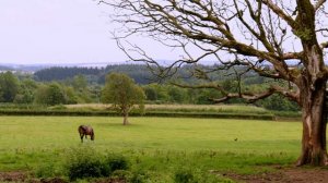 13220887-uhd_4096_2160_25fps