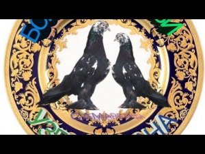 всем Салам Алейкум с Узбекистана Голуби Санжара,Винтовые Бойные Голуби Tauben Pigeons❗❗❗🕊