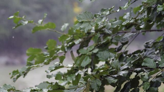 В УКРАИНУ ВЕРНЕТСЯ ЖАРА ДО +30, НО С ГРОЗАМИ: СИНОПТИКИ НАЗВАЛИ ДАТУ смотреть онлайн