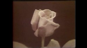 УМАР ТХАБИСИМОВ – Ф1ЫУЭ СЛЪАГЪУМ и УЭРЭД ( Любимой  ) – авторы: АЛИМ КЕШОКОВ и УМАР ТХАБИСИМОВ