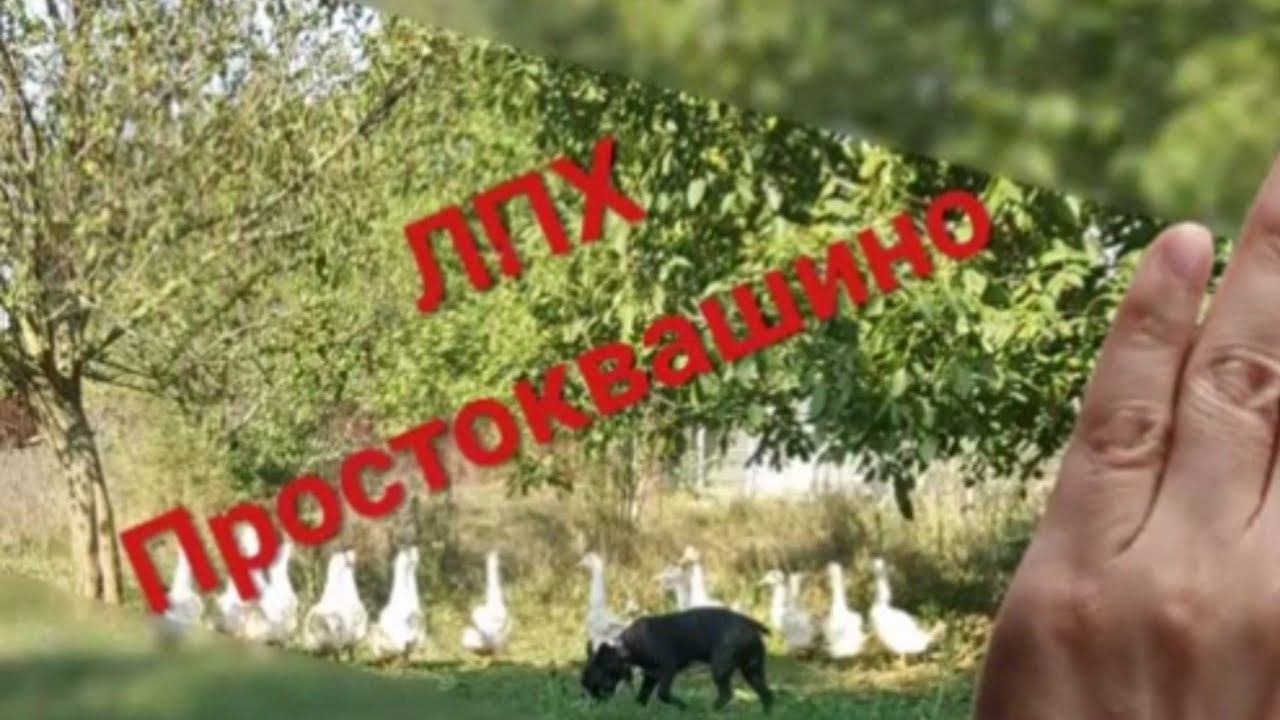 Челендж" Интересная история моей жизни."