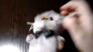 Распаковка   Басика  брелка.😊😊😊