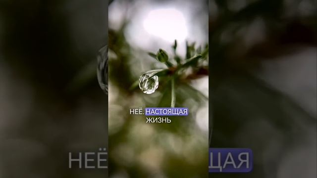 Красота жизни. #счастье #жизнь #душевноеспокойствие #гармония