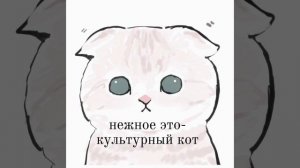 нежное это- культурный кот| speed up (ускоренно)