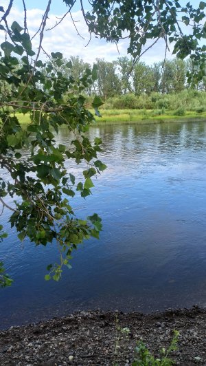 ЩУКА НА КРЮЧКЕ