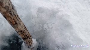 и снова  налимья тычечная эпопея  .(хооолодно блин !!🥶)