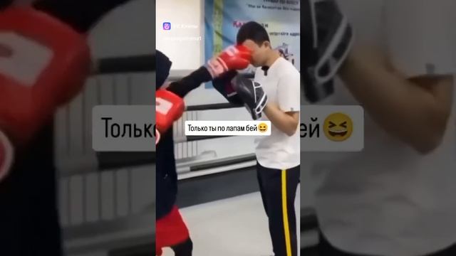 Минусы в работе тренера  бокс спорт юмор офп спарринг лапы