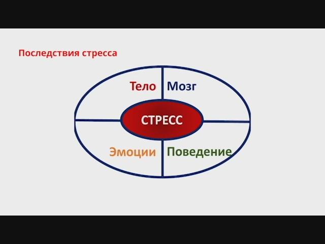 Последствия стресса