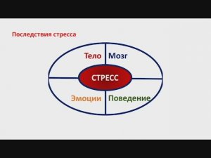 Последствия стресса