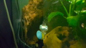 китайский редуктор wyin со2