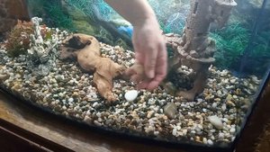 Подготовка аквариума к запуску. Часть 2