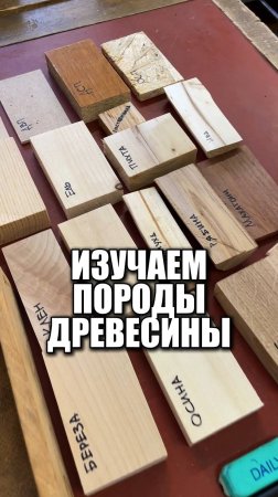 Изучаем породы древесины