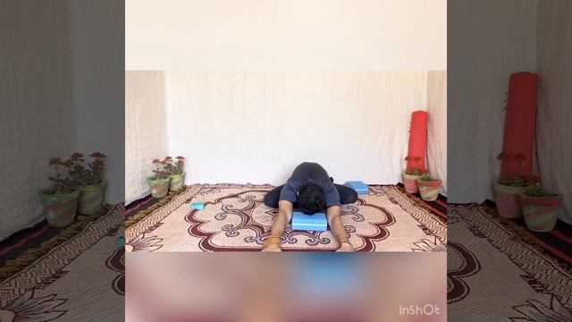 Morning Yoga for all Beginner sitting sequence / Master Jai