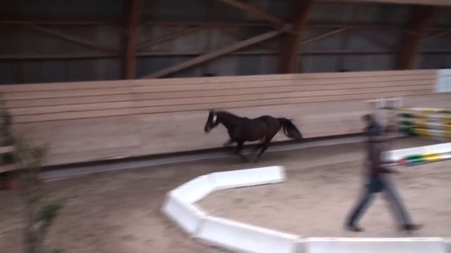 Triple Star du Lavoir смотреть онлайн