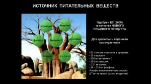 Очень интересная информация о плоде баобаб