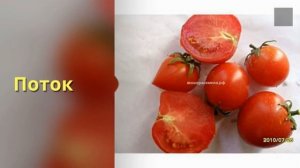 Урожайные, индетерминатные сорта