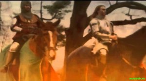 Стары Ольса   Літвін