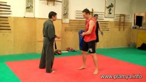 Удары ногами по лапам - Дмитрий Медведев