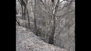 Е. Евтушенко: Бабий Яр (1961)