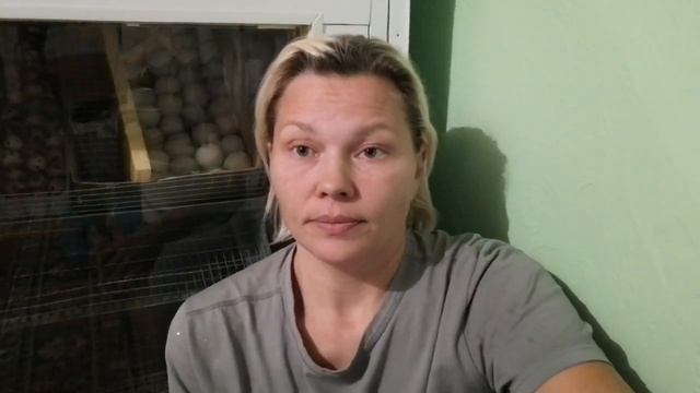 Секреты инкубации и варим кашку для поросят