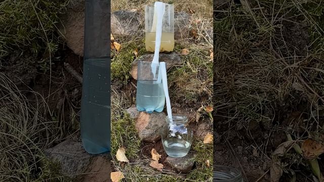 Survival Skills Amazing Dirty Water Purification Filter #survival #camping #lifehacks