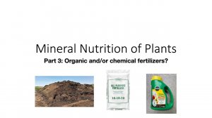 Mineral Nutrition of Plants: Part 3, Organic and/or chemical fertilizers?