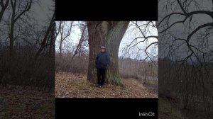 Прогулка 1 декабря 2024 года, Южное побережье невской губы