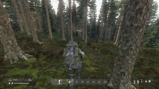 DayZ стрим смотреть онлайн