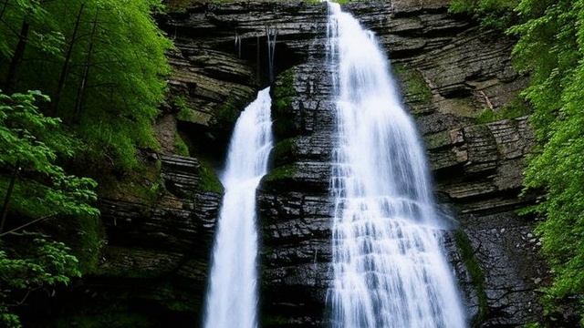 Звуки Водопада в Лесу, Расслабляющие Пение Птиц