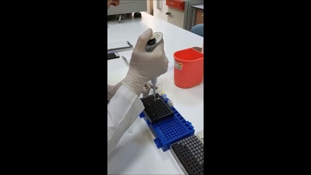 cDNA yapımı смотреть онлайн