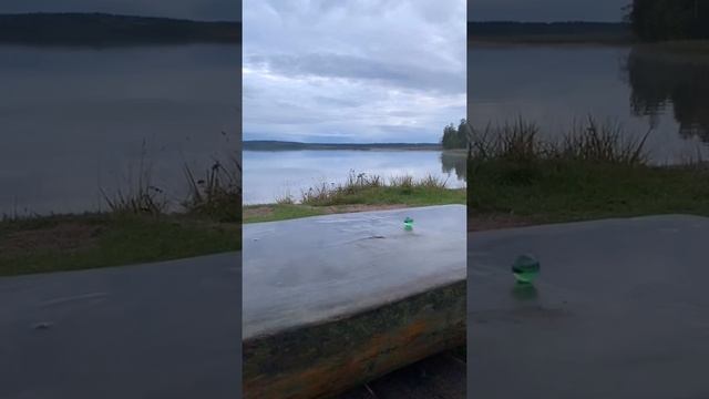 Дневник интриганки ( о книге ) смотреть онлайн