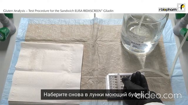 R7001 RIDASCREEN Глиадин - видеоинструкция на русском смотреть онлайн