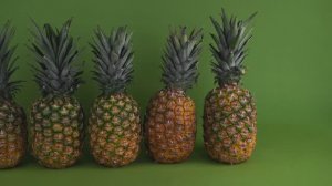 7198820-uhd_3840_2160_25fps