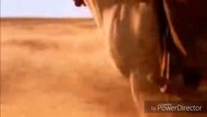 Замечательный клип ,, Молодая лошадь"