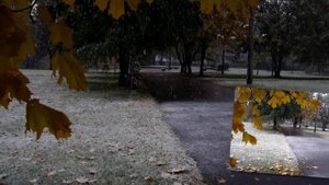 Наташа Бяло   Снежный вальс