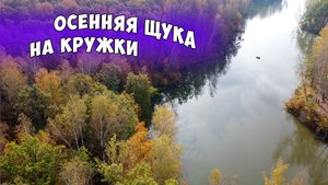 ЛОВИМ ОСЕННЮЮ ЩУКУ НА КРУЖКИ! ЛЕСНОЕ ОЗЕРО С МЕЛКОЙ ЩУКОЙ