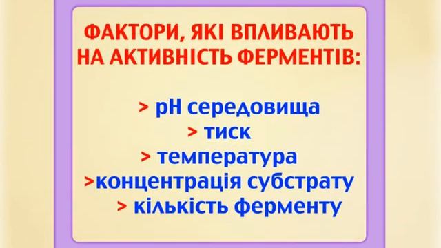 ФЕРМЕНТИ (РОЛЬ ФЕРМЕНТІВ У ОБМІНІ РЕЧОВИН)