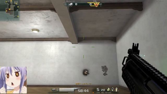 AVA KEL TEC KSG test смотреть онлайн