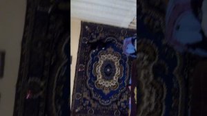 Кошка в невесомости