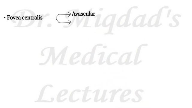 07. Visual System - Part 03 (Receptors & Function of Retina) смотреть онлайн