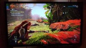 Horizon Forbidden West | RTX 4060 MSI Gaming X | i5 10400f | FPS тест | DLSS on/off | 1080p.
