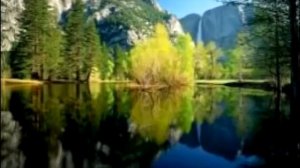 Шухрат Хакимов Умидвор юрак