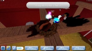 БАКЛАН  ОБНОВЛЕНИЕ СЕМЬЯ ПТИЦ РОБЛОКС ROBLOXCORMORANT UPDATE FEATHER FAMILY