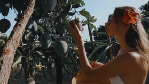 11760142-uhd_4096_2160_30fps