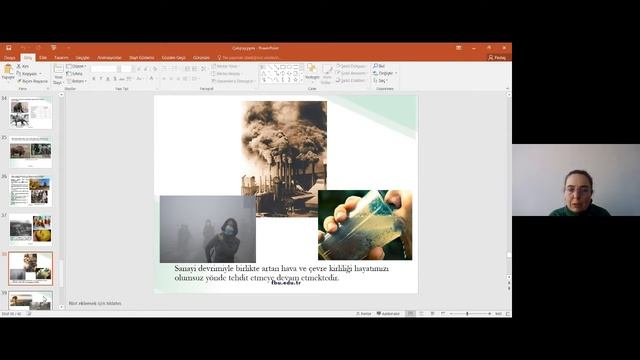 Doğal Çevrelerin Korunması Üzerine Bir Değerlendirme смотреть онлайн