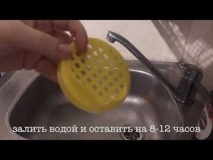 Микрозелень в банке