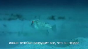 А за окошко месяц МАЙ...(32)