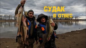 Настучали по клыкам! Ловим весеннего судака в отвес, р.Кама