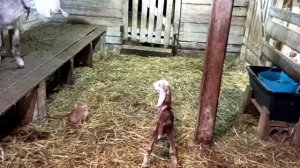 УГОВАРИВАЮ НАТАШУ ОТКРЫТЬ КАНАЛ