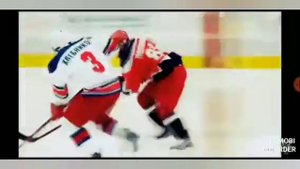 Медведи. Все мы разные хоккей один.